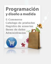 Ampliar informaci&oacute;n de Programaci&oacute;n y Dise&ntilde;o a Medida
